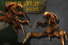 Operation Black Mesa