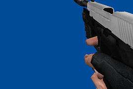 Sig Sauer P226 Black & White