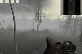 dod_swamp_b1