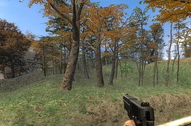 HEAT Sig P220