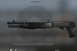 Spas-12 standard