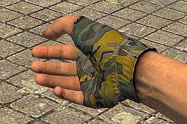 8_Css_Handz