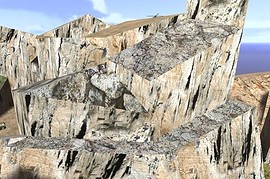 macrocampus_1.1