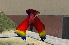 Parrot_Skin