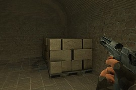 STALKER style DEagle