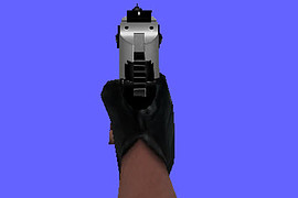 Two Toned Desert Eagle