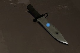 Bushman's Bayonet