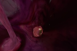 A Corny Voyage