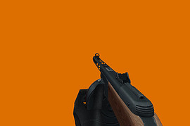 PPSH