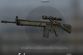 G3SG-1