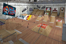 aim_skatepark_csz