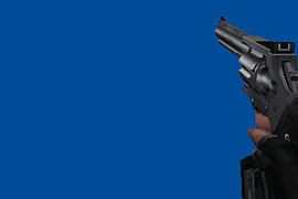 Colt Anaconda (2)