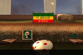fy_grasscity