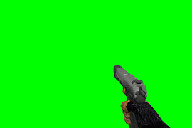 HL2 Pistol + DSS + CM OF