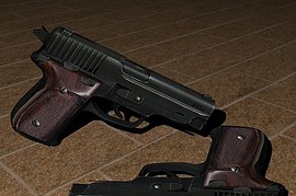 Default P228