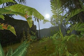 dod_jungle_b5