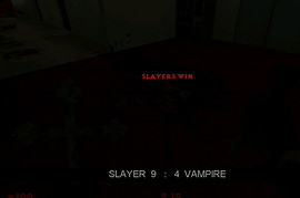 Vampire Slayer