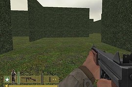 hedgemaze_v2