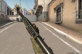 Spas-12 standard