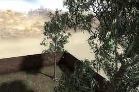 Gumtrees