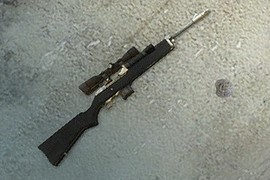 Hunter_Rifle_Seedy_(L4D2)