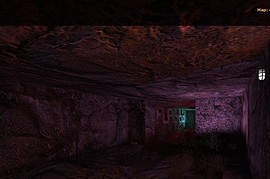 dm_badgerset_night