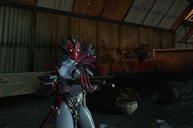 Vengeful - Zoey
