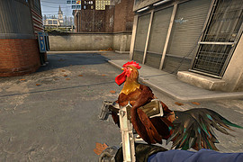 Mad rooster