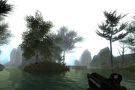 gm_forest