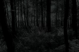 fiak_wood