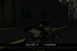Vampire Slayer
