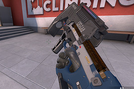P90 police