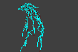 l18_road_root02