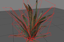 plant3