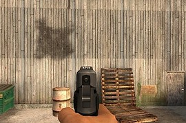 Sig_Sauer_P228