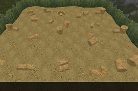 dgl_forest