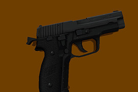 Sig Sauer P228