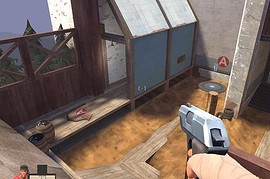 cp_beetle_b1