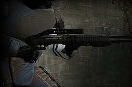 Lamarr SPAS-12 on IIopn Animations