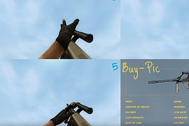 IIopn's AUG Animations