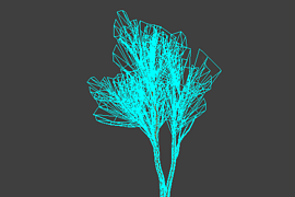 !tree_16