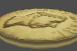 fnv_coin