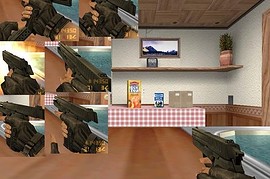 Sig Pro 2009