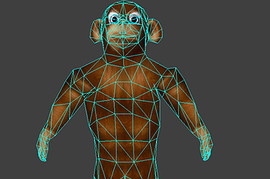 Monkey