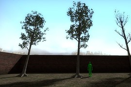 Gumtrees
