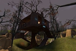 cp_Forest