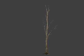 !tree_04