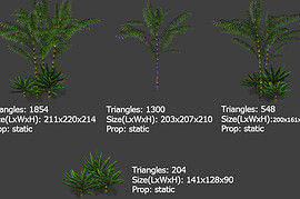 Бамбук
