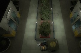 Paranoia___Episode_2