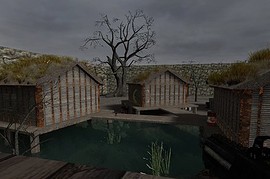 dm_africa_jungle